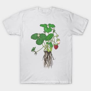 All steps do Strawberry lifecycle T-Shirt